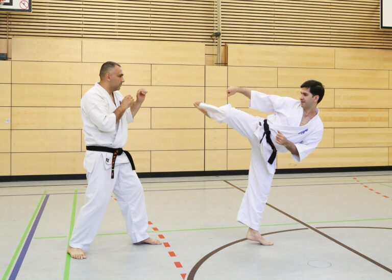 Martial arts training – Roter Stern Berlin